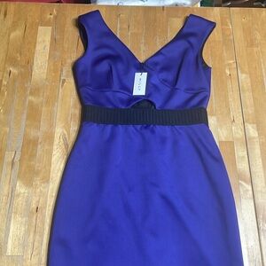 NWT Milly New York sleeveless cocktail dress